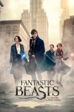 Fantastic Beast