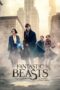 Fantastic Beast